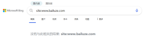 突然发现bing不收录网站的新页面了 - 鹿泽笔记