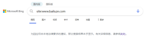 突然发现bing不收录网站的新页面了 - 鹿泽笔记