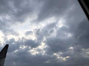 2月14日正月初五傍晚 - 鹿泽笔记