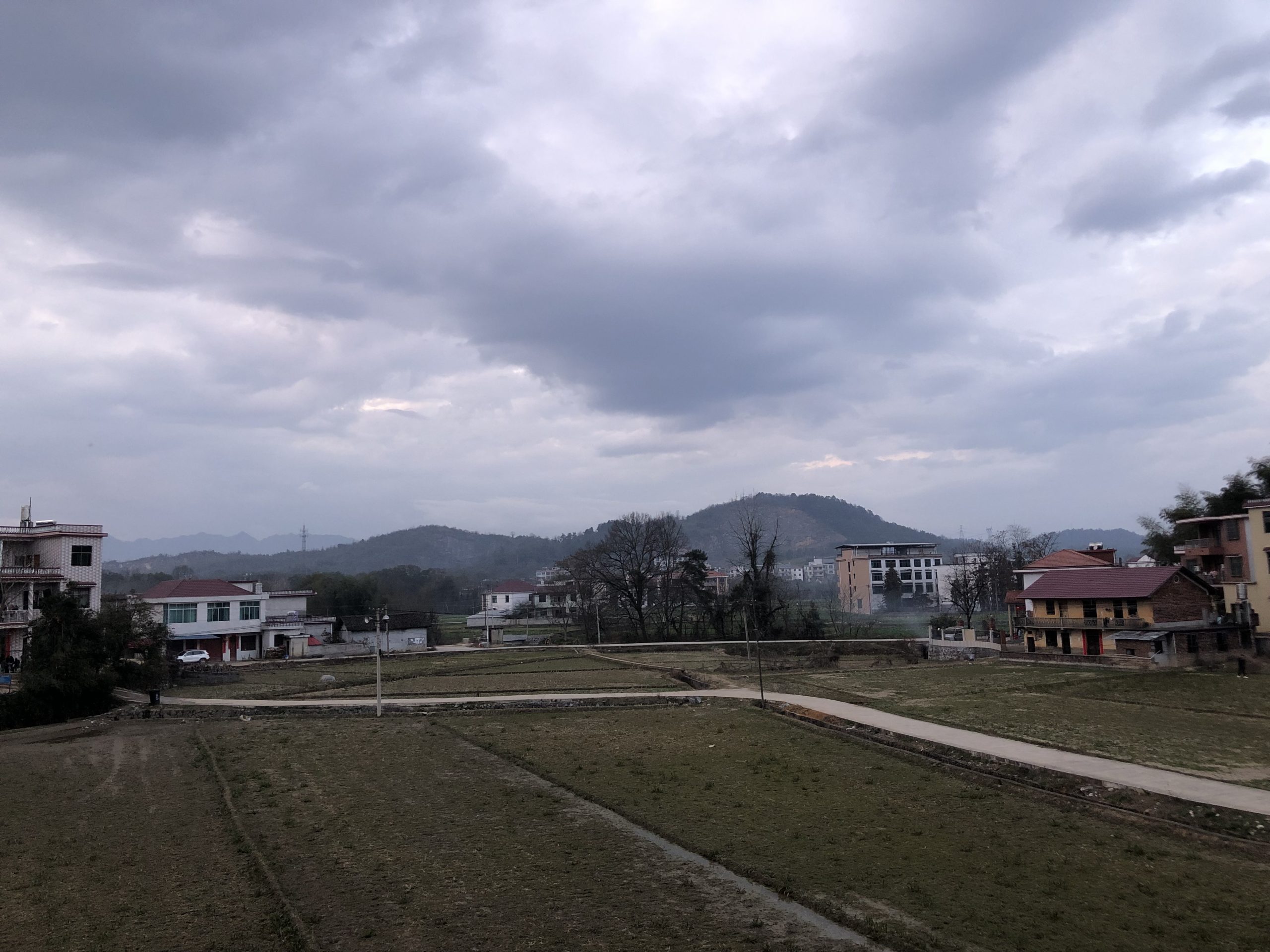 2月14日正月初五傍晚 - 鹿泽笔记