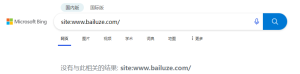 24小时收录/每周收录bing搜索没有结果 - 鹿泽笔记