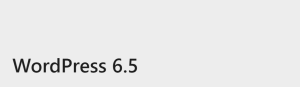 WordPress 6.5 发布系统更新，请尽快更新 - 鹿泽笔记