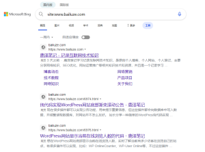 谈谈最近客户比较重视的网站收录问题 - 鹿泽笔记
