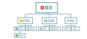 搜索引擎蜘蛛抓取页面的规则 - 鹿泽笔记
