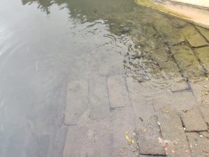 古建筑前游玩，客家屋围前的时光 - 鹿泽笔记