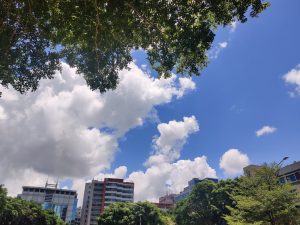 2024年6月底到7月初的工作汇总 - 鹿泽笔记