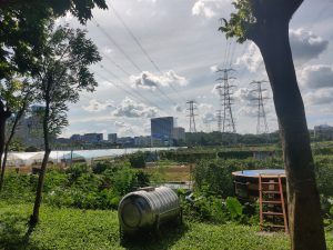 20240714记录蓝天、白云和树木 - 鹿泽笔记