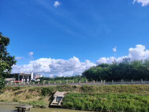 20240714记录蓝天、白云和树木 - 鹿泽笔记