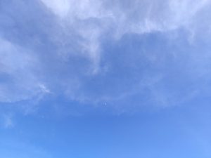 20240714记录蓝天、白云和树木 - 鹿泽笔记