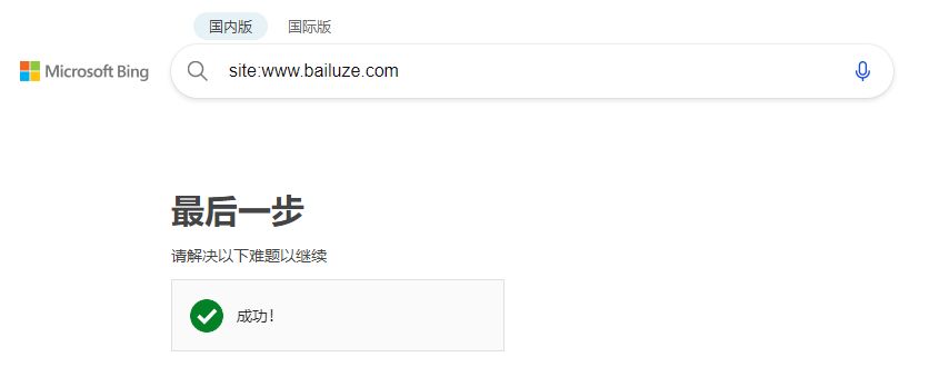 bing搜索出现问题